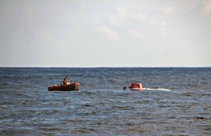 Low res_Swimmers_11_05_2014