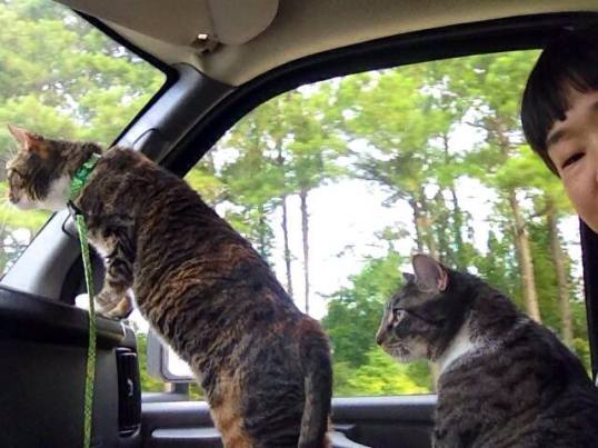 Momma and Son in awe of the open road