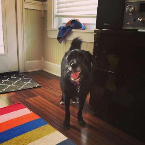 14310314_10209084104594204_8292462048918988468_o